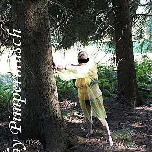 Im Wald 4 Galeriebild