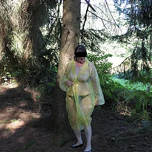 Im Wald 4 Galeriebild