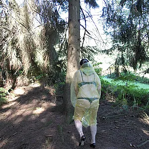 Im Wald 4 Galeriebild