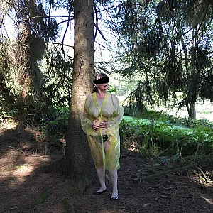 Im Wald 4 Galeriebild