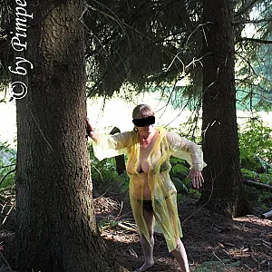 Im Wald 4 Galeriebild