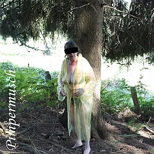 Im Wald 4 Galeriebild