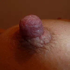 closeups gallery image