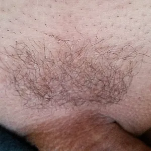 fresh shaved gallery image
