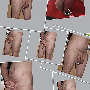 i like my penis gallery image
