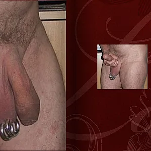 i like my penis gallery image