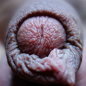 brown sausage gallery image