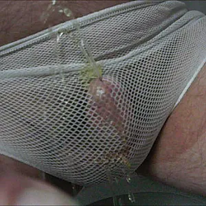 pissing gallery image