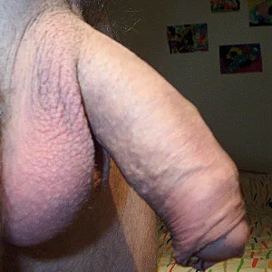 my cockpiercings gallery image