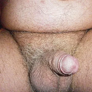none gallery image