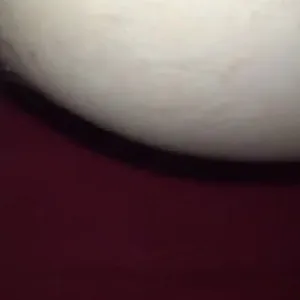 wet sperm pussy gallery image