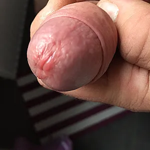 my cock for you gallery image