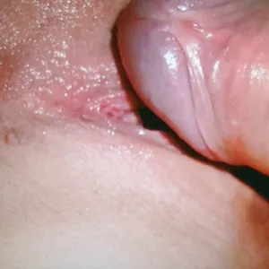 really really closeup 1 gallery image