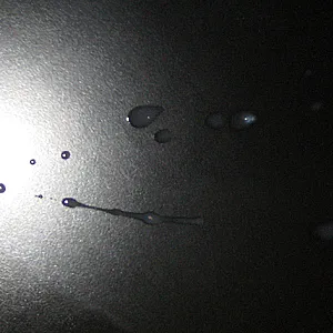 ganz nah dran... Galeriebild