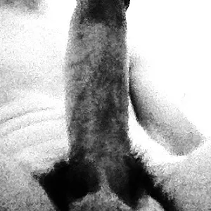 Bodycockshots Galeriebild