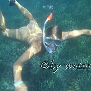 Das erste Bild von watnu's Galerie - Unter Wasser_2