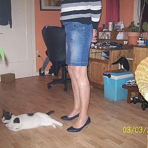 my husband in Skirt in stockings gallery image