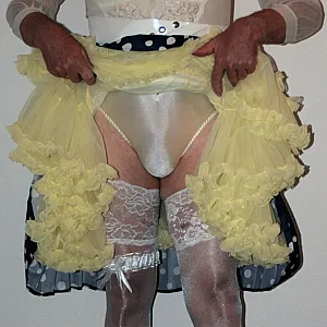 yellow petticoat gallery image