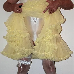 yellow petticoat gallery image