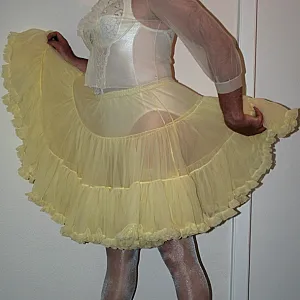 yellow petticoat gallery image