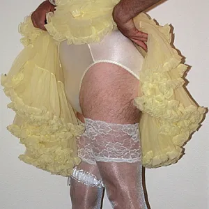 yellow petticoat gallery image