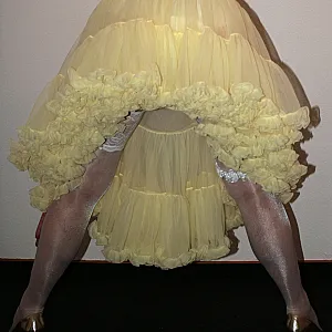 yellow petticoat gallery image