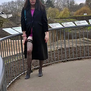 in the Zoo of cologne gallery image
