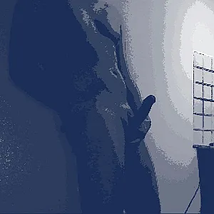 introducing gallery image