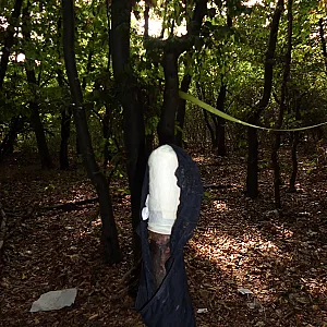 First image of Boy_friend33's Gallery - alone in forest