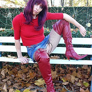 Dina serie 45 2010 gallery image