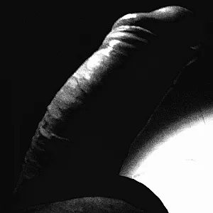 stiff big cock gallery image