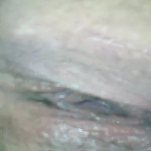 pussy gallery image