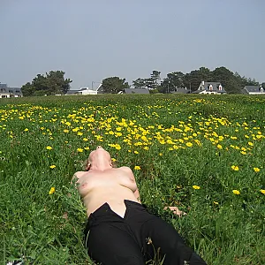 in  britany Galeriebild