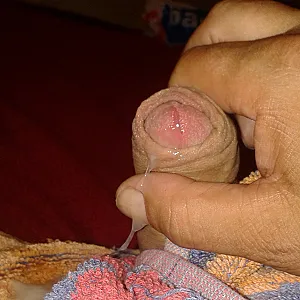 sperm sperm gallery image