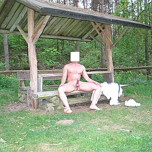 Waldparkplatz Galeriebild