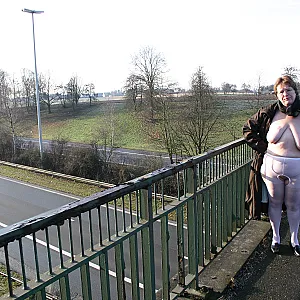 on a bridge gallery image