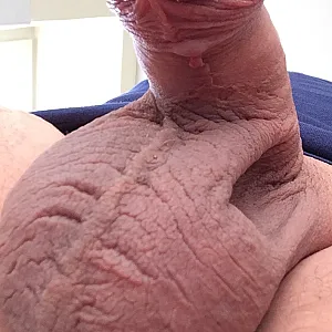 wieder mal neues Galeriebild