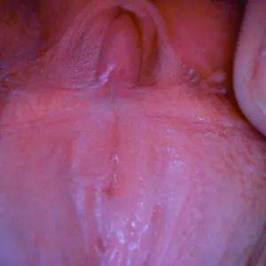 wet pussy gallery image