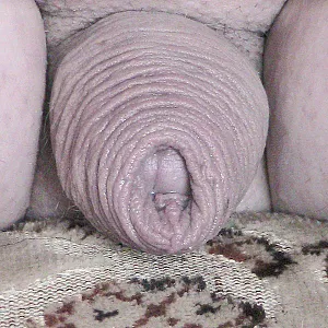 Mein kleiner Teil 5 Galeriebild