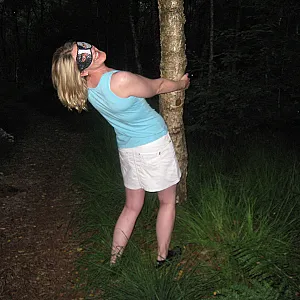 Im Wald abgekühlt Galeriebild