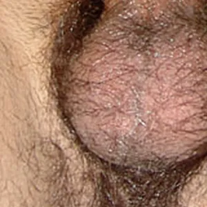 2012-07 cocks and holes gallery image