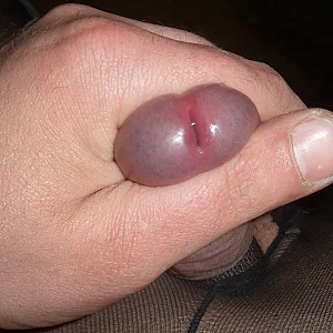 really closeup gallery image
