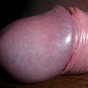 really closeup gallery image
