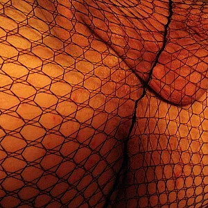 im netz gefangen Galeriebild