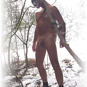 in the woods gallery image