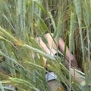 In der Natur Galeriebild