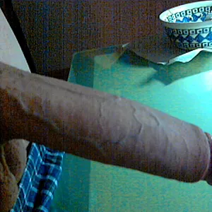 have a look gallery image