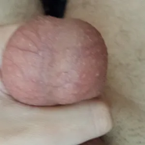 my cock gallery image