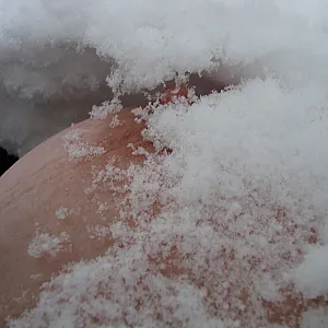 Snowballs gallery image