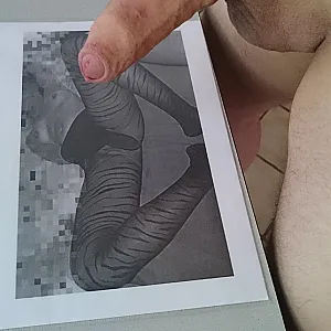 fulfilled task gallery image